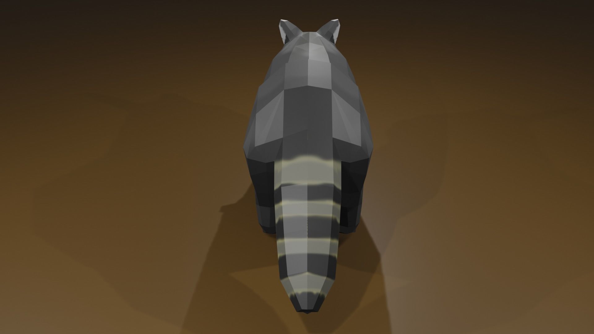 Raccon raccoon Low-poly 3D model_6