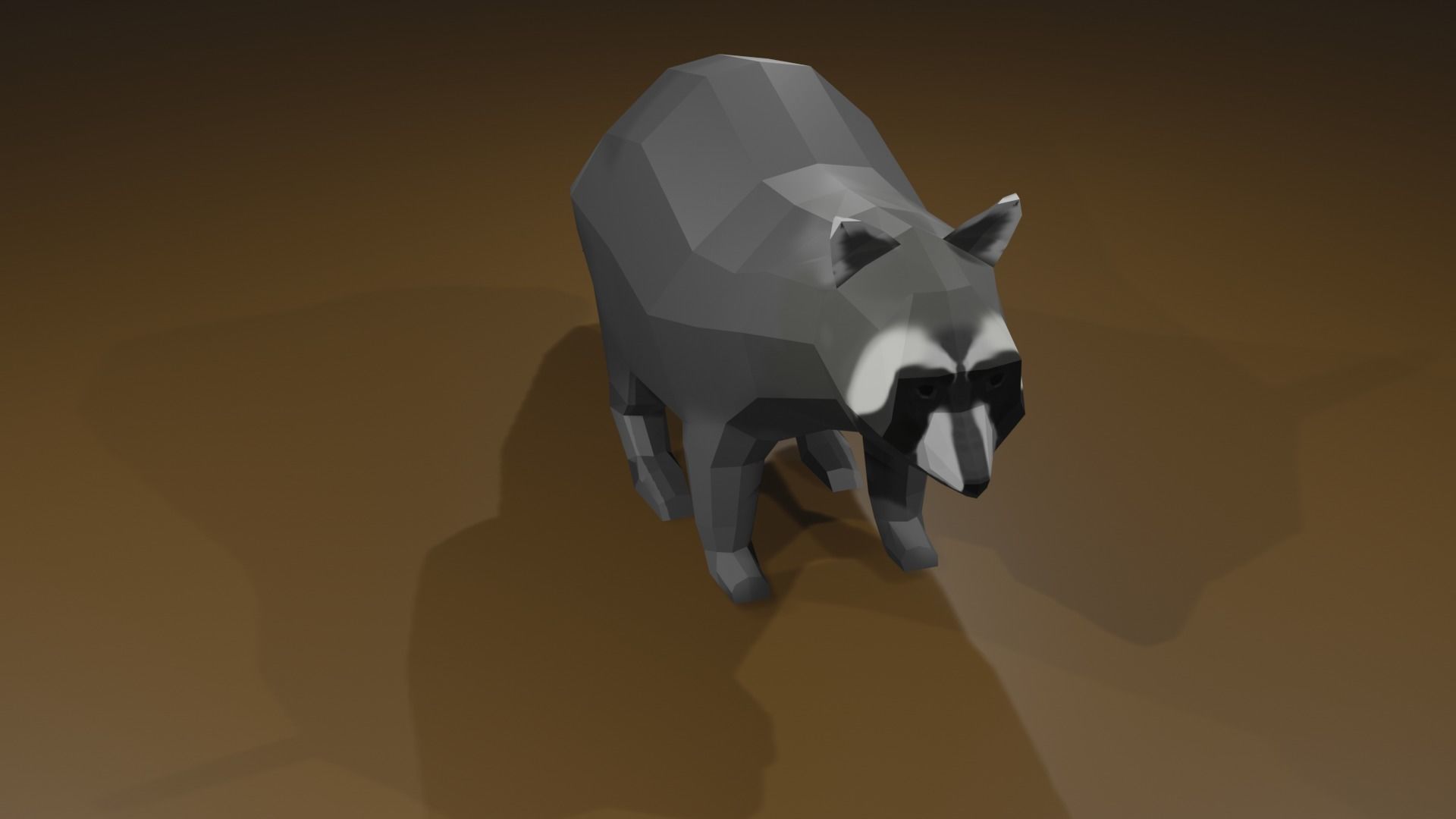 Raccon raccoon Low-poly 3D model_11