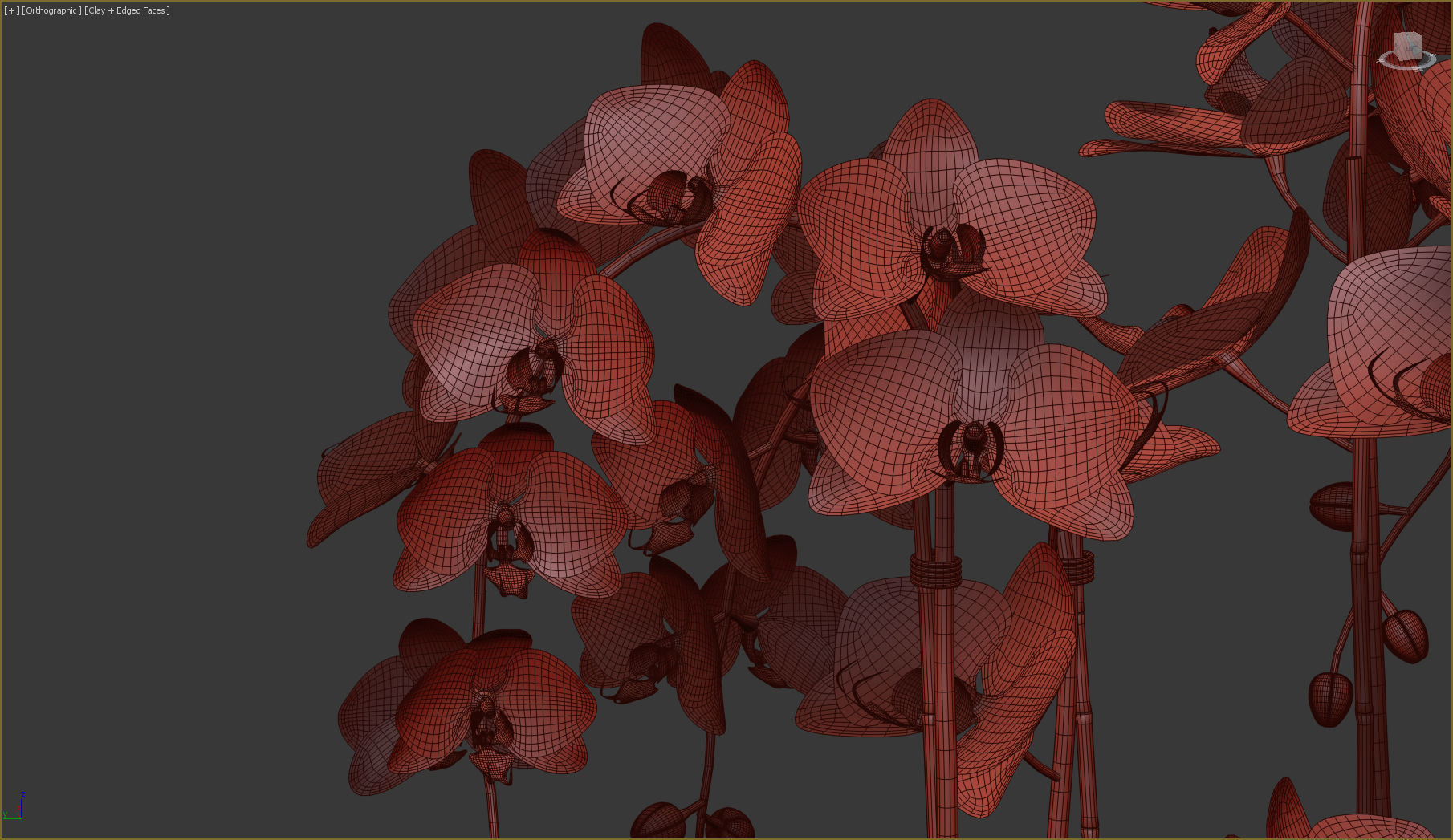 Orchid orchids in vase 3D model_8