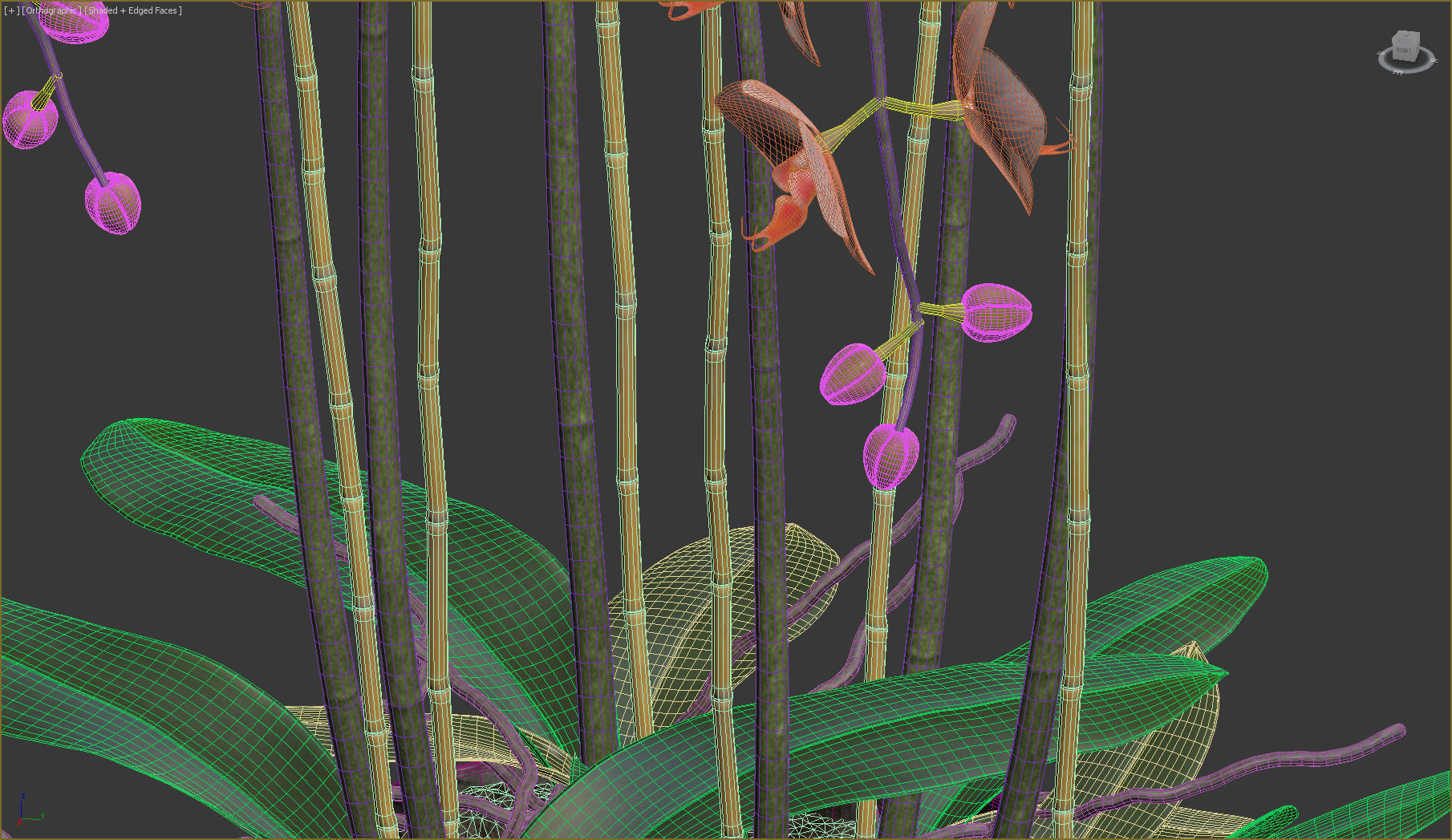 Orchid orchids in vase 3D model_6