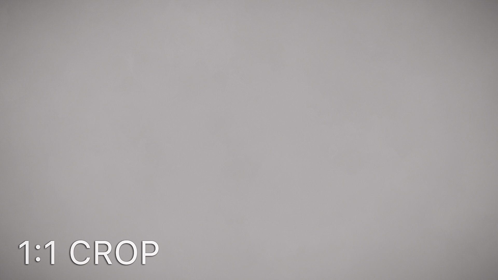 White shiny stucco plaster texture Texture_15