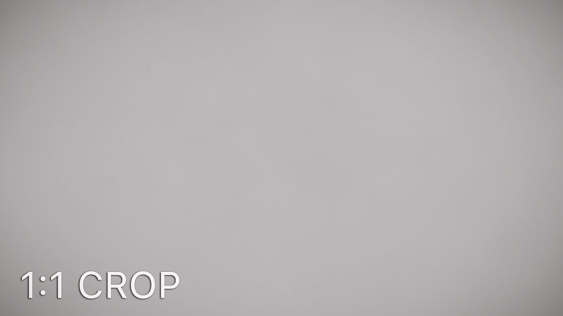 White shiny stucco plaster texture Texture_13