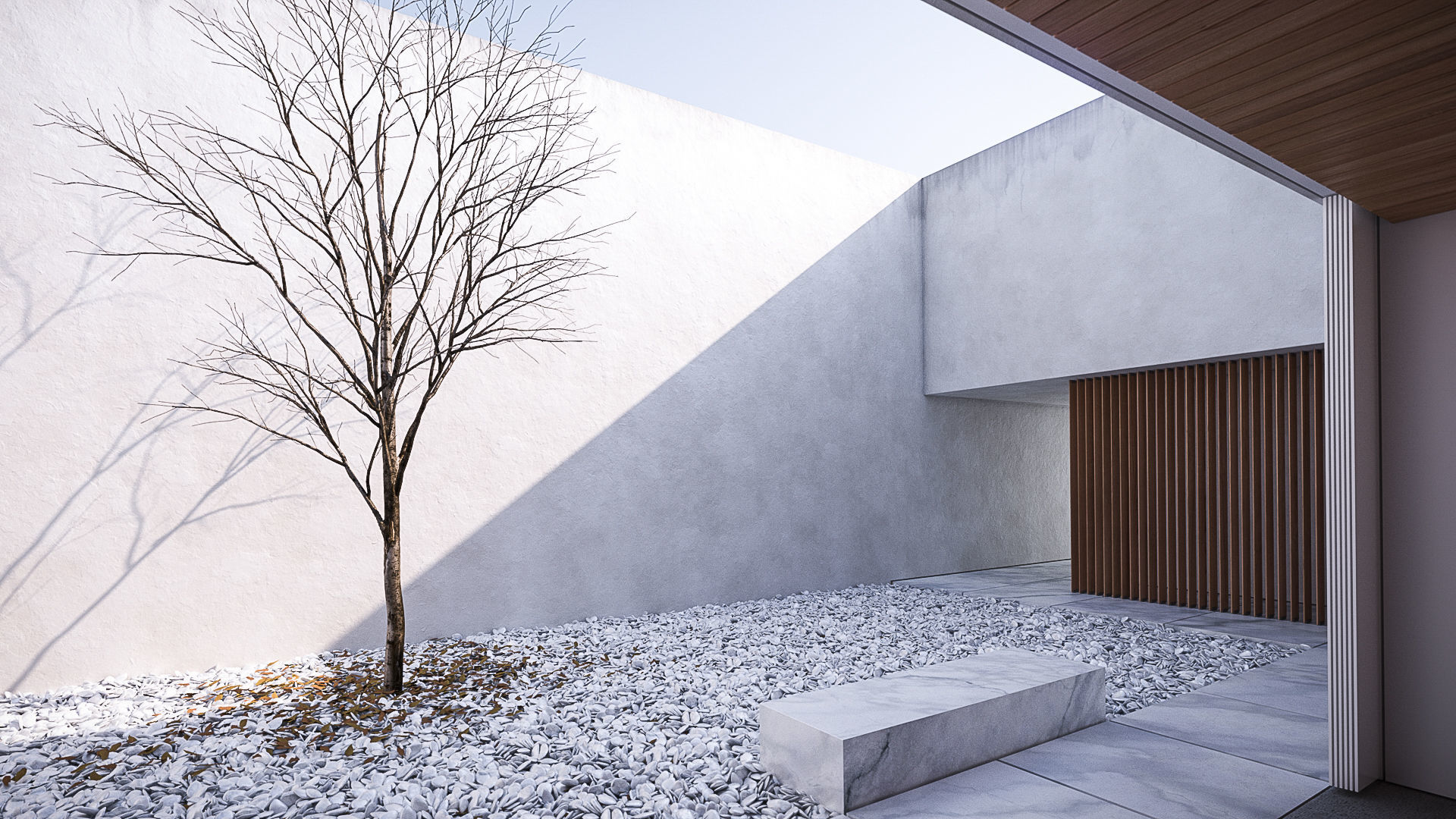 White shiny stucco plaster texture Texture_1