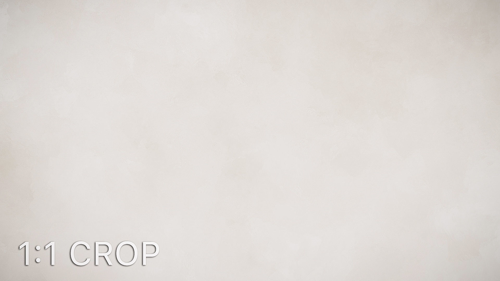 White shiny stucco plaster texture Texture_11