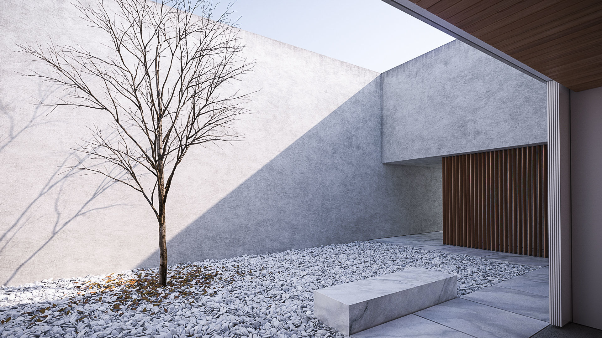 Rough plaster wall texture Texture_1