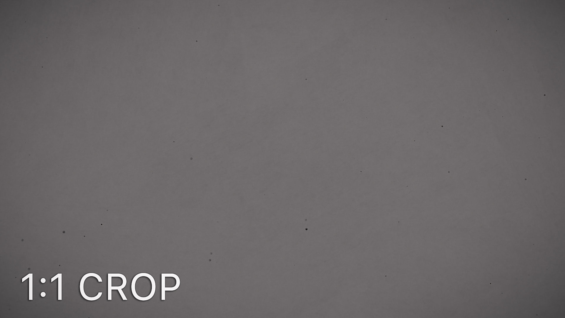 Rough plaster wall texture Texture_15