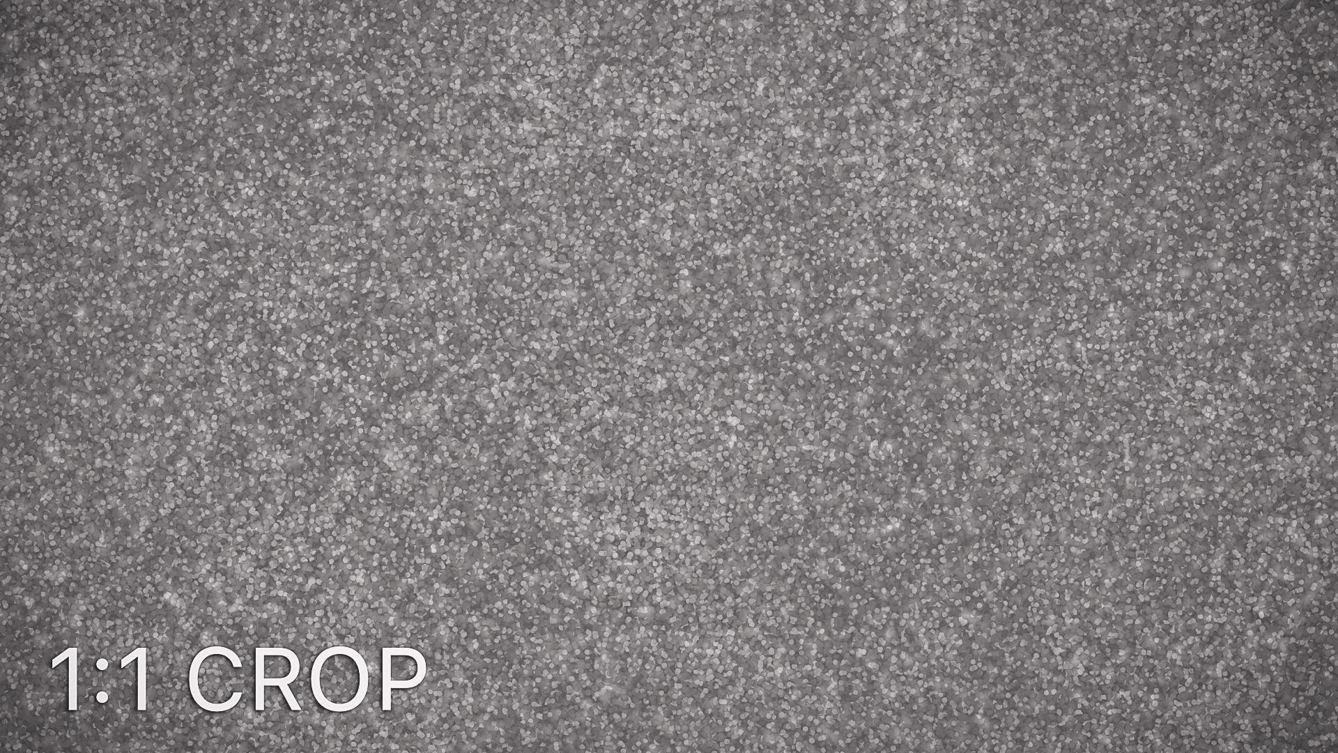 Small grain fine white plaster texture Texture_12