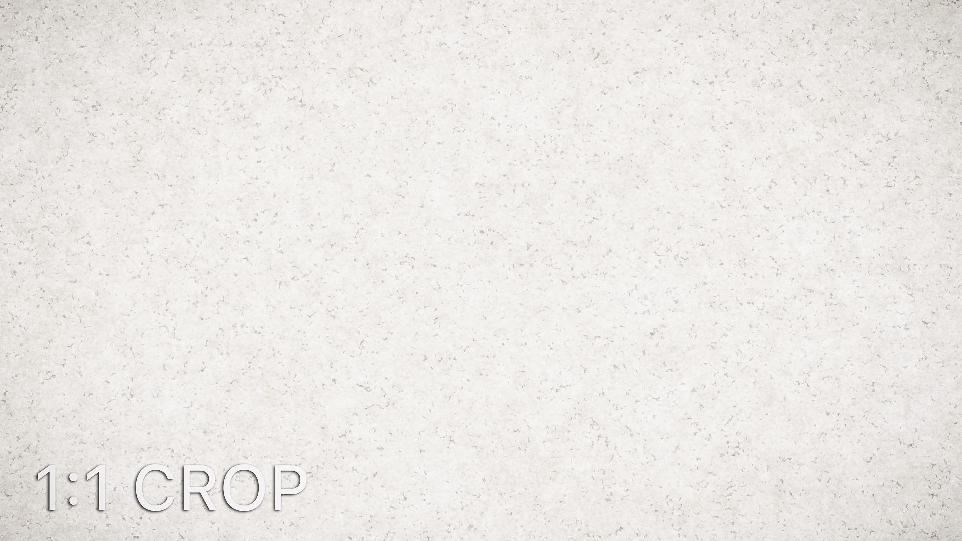 Small grain fine white plaster texture Texture_11