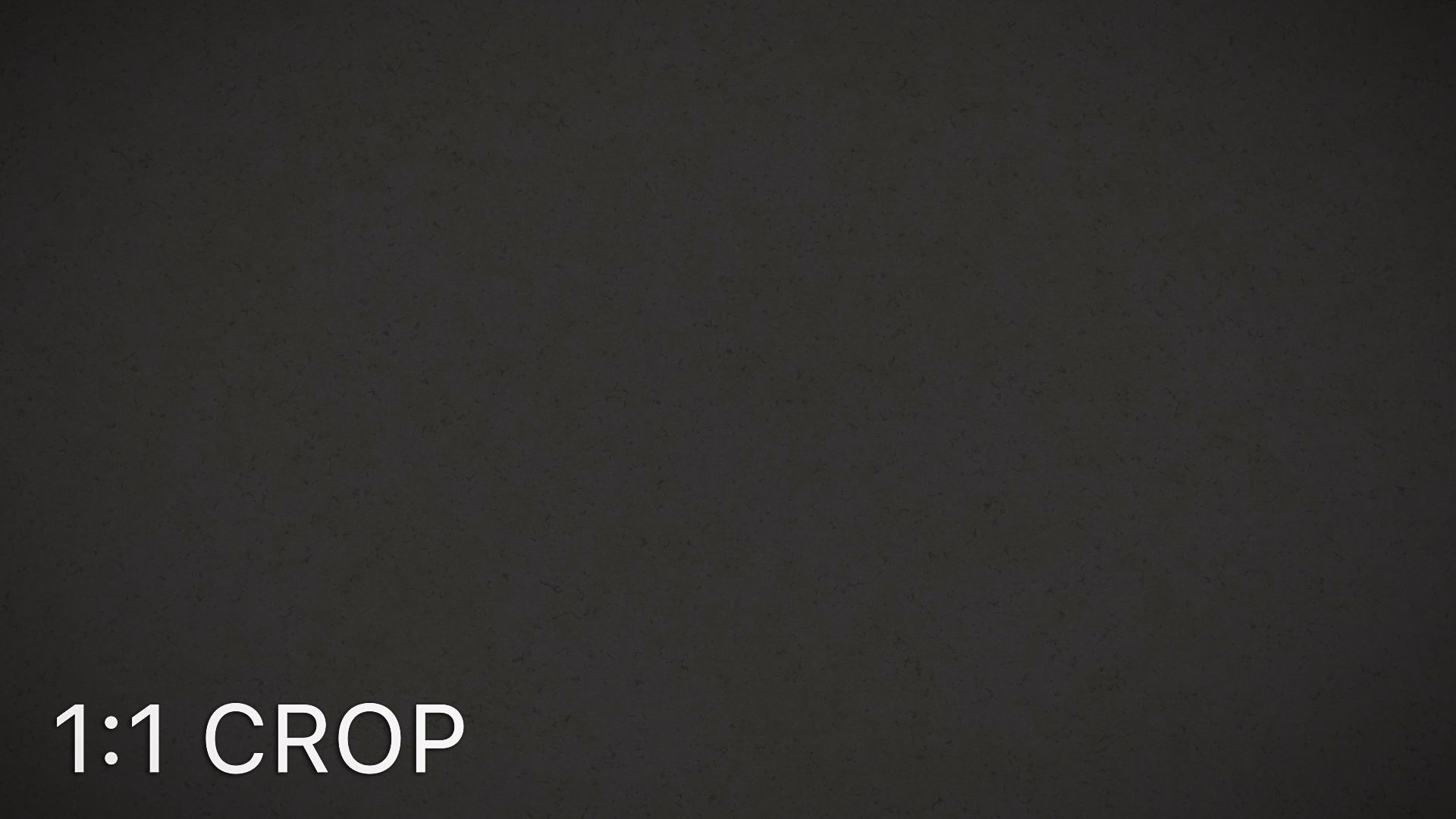 Small grain fine white plaster texture Texture_15