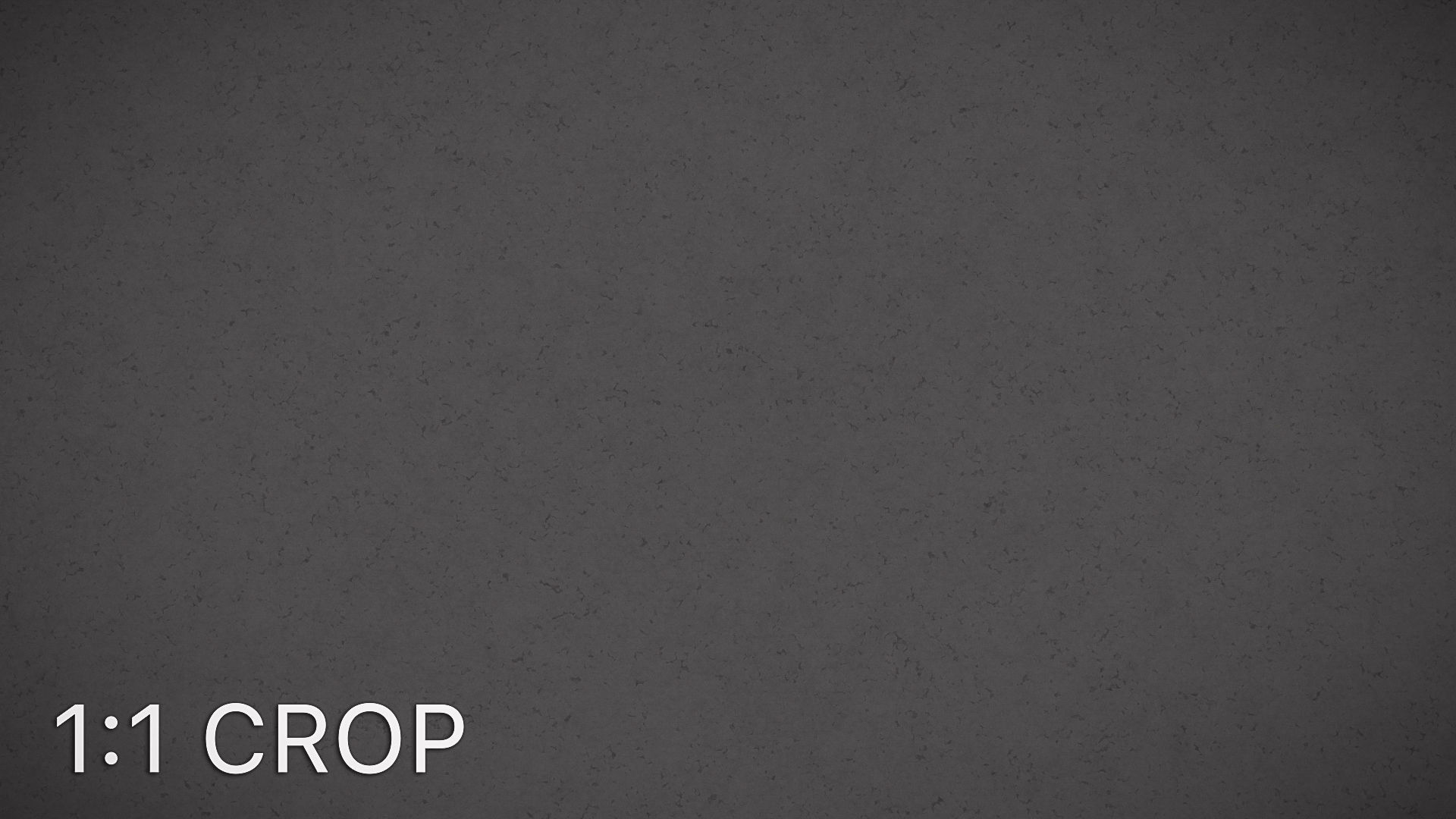 Small grain fine white plaster texture Texture_13