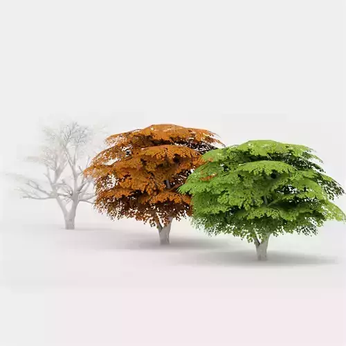 Maple Tree 02 G17 LOD Low-poly 3D model