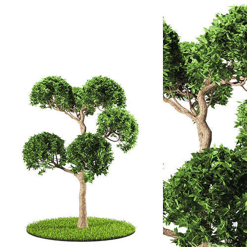 tree 119-3 3D model