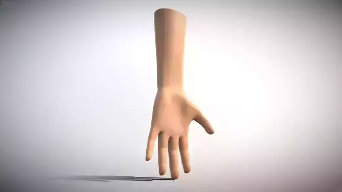 Low Poly Human Hand Low-poly 3D model