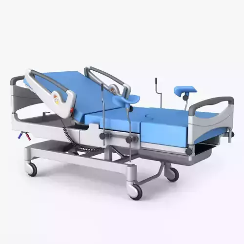 Delivery Bed 3D model