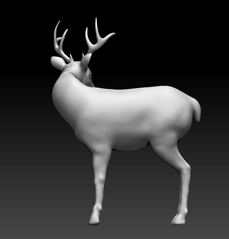 The deer turned 3D model_2