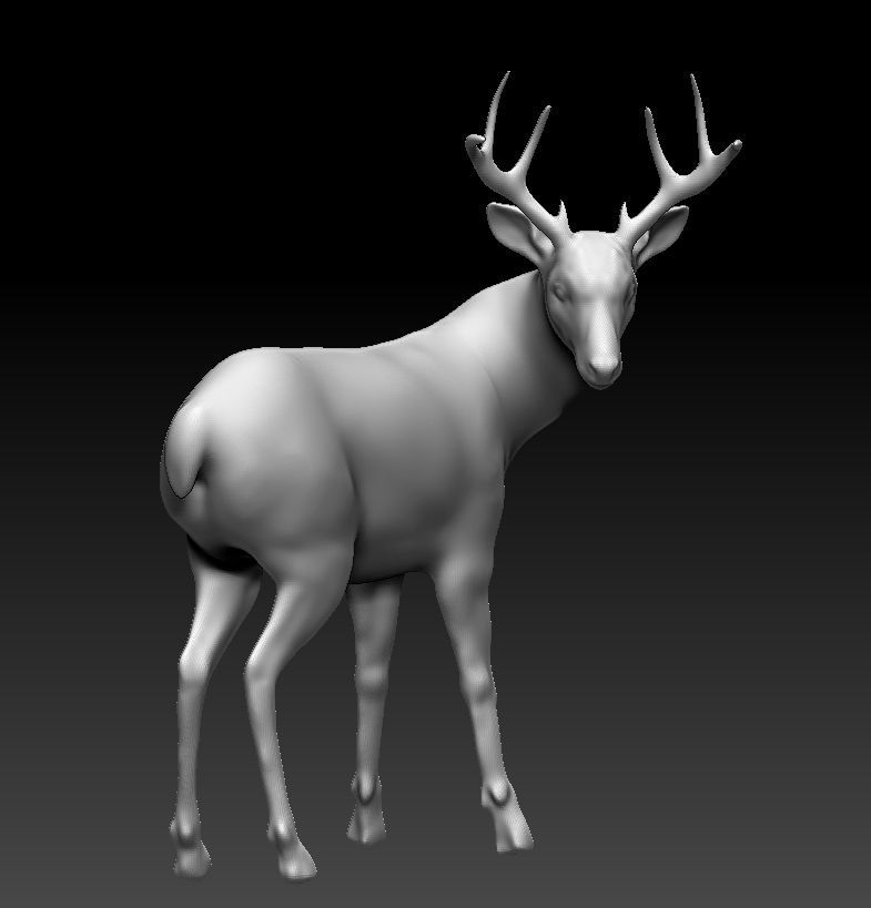 The deer turned 3D model_3