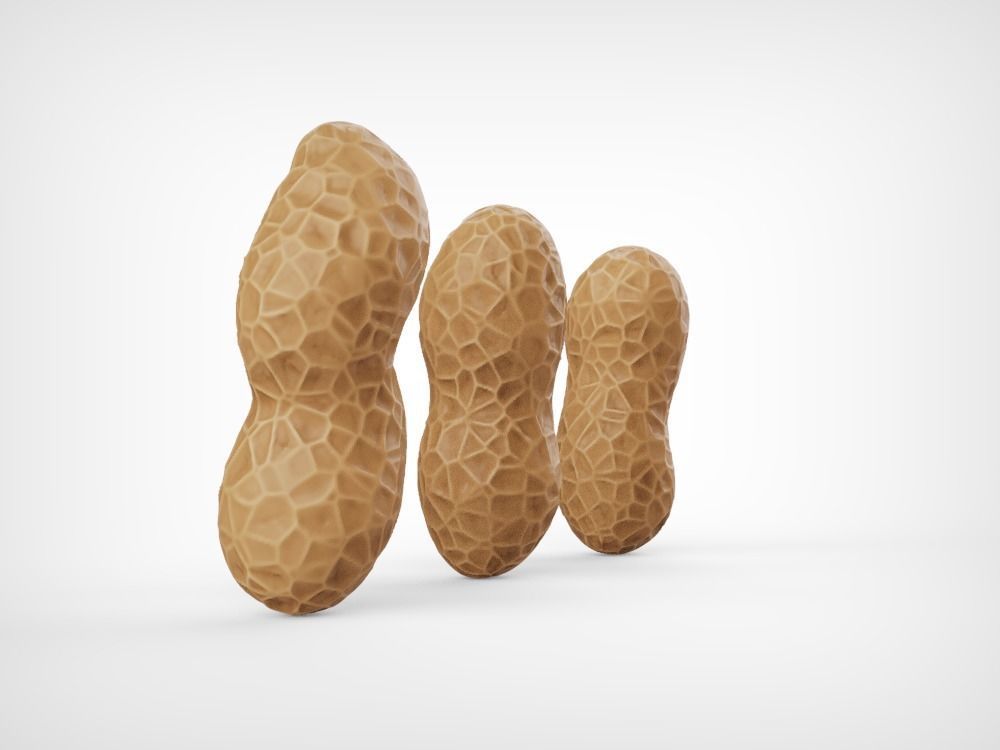 Peanuts three Low-poly 3D model_4