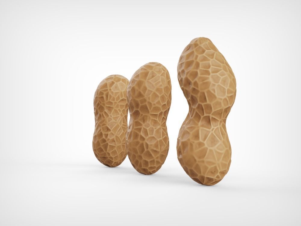 Peanuts three Low-poly 3D model_3