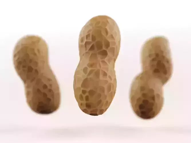 Peanuts three Low-poly 3D model