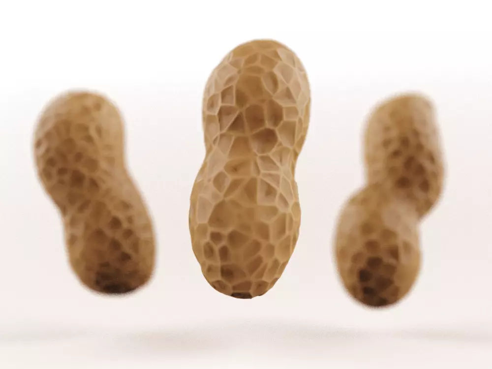 Peanuts three Low-poly 3D model_0