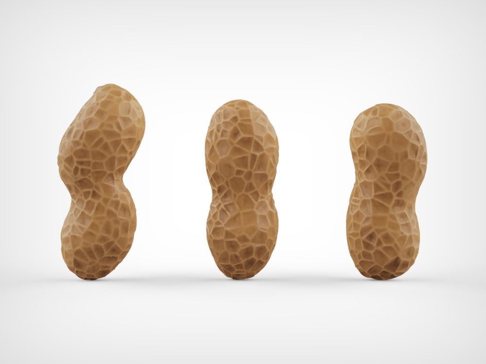 Peanuts three Low-poly 3D model_5