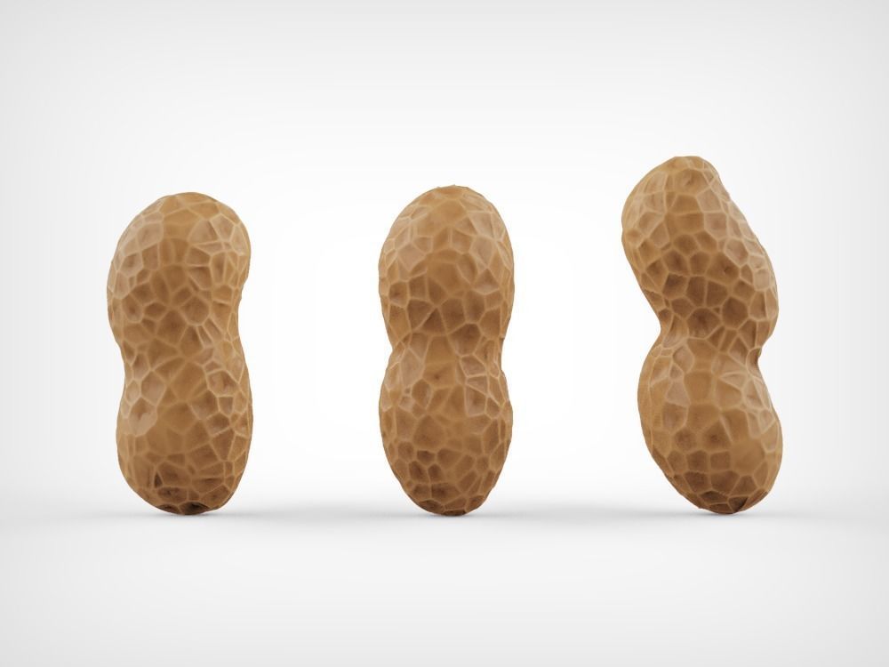 Peanuts three Low-poly 3D model_1