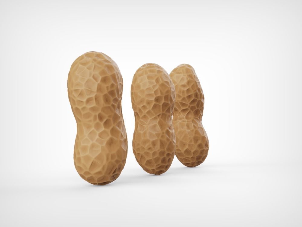 Peanuts three Low-poly 3D model_2