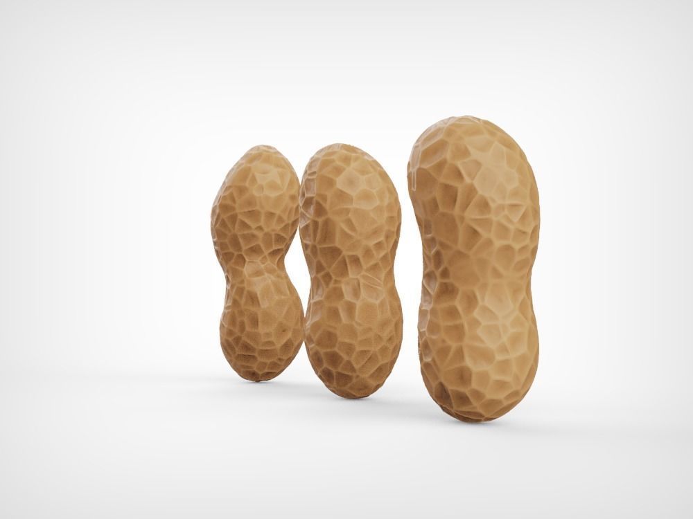 Peanuts three Low-poly 3D model_6