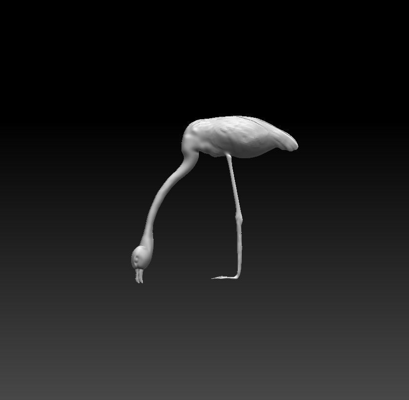 Flamingo eat fish 3D model_1