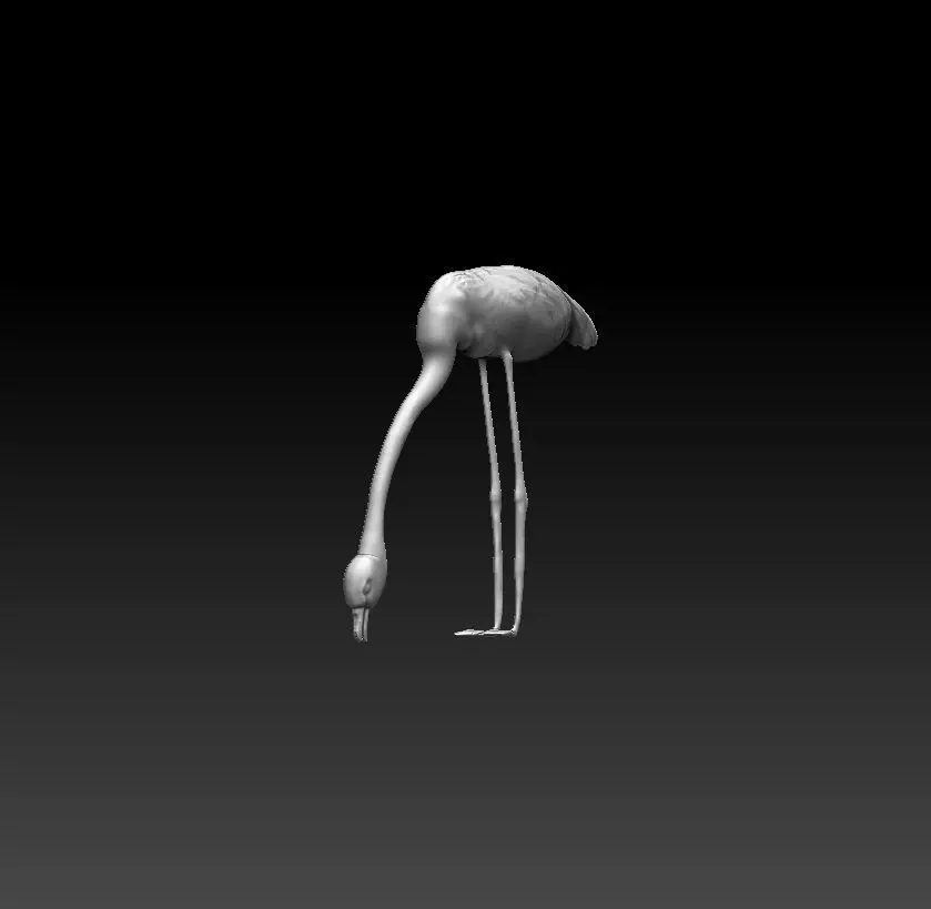Flamingo eat fish 3D model_0