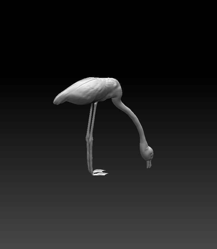 Flamingo eat fish 3D model_2
