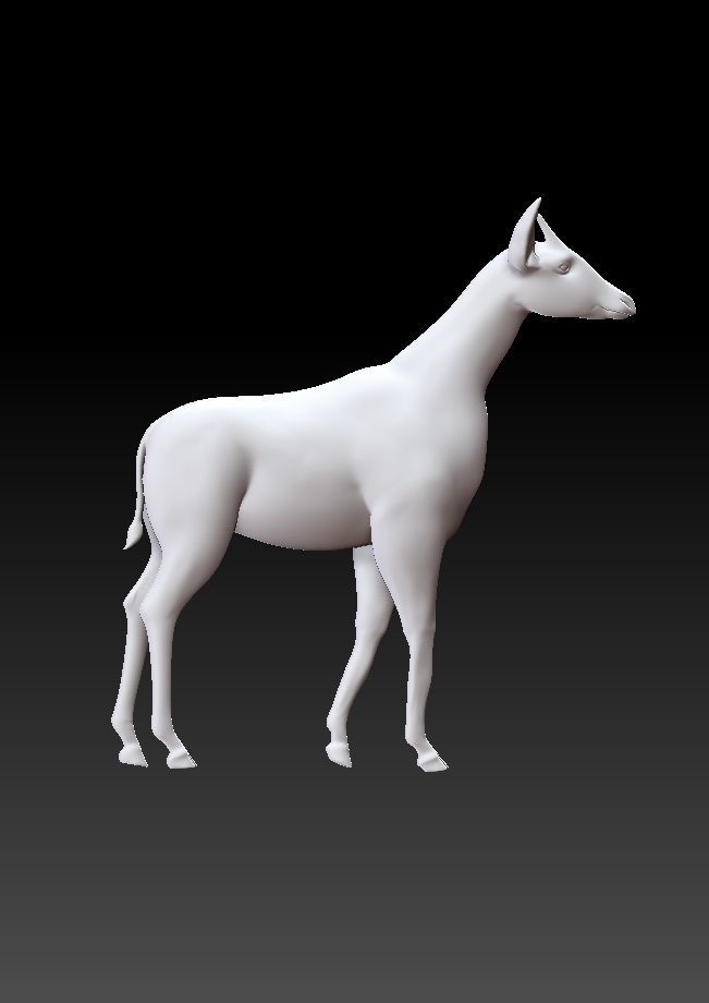 okapi deer 3D model_4