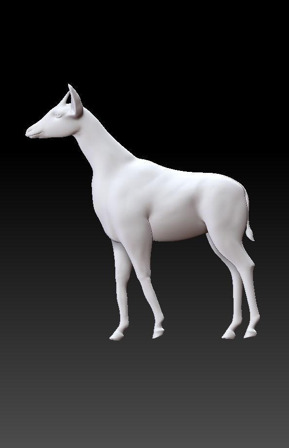 okapi deer 3D model_2