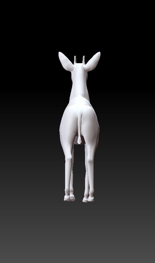 okapi deer 3D model_3