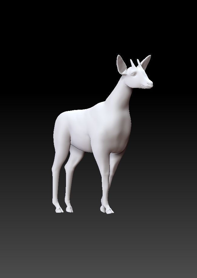 okapi deer 3D model_5