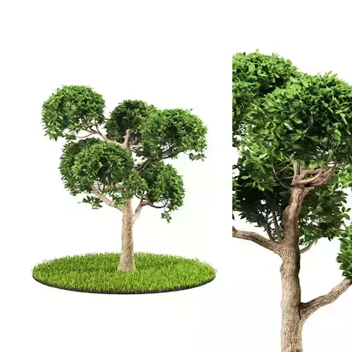 tree 119-5 3D model