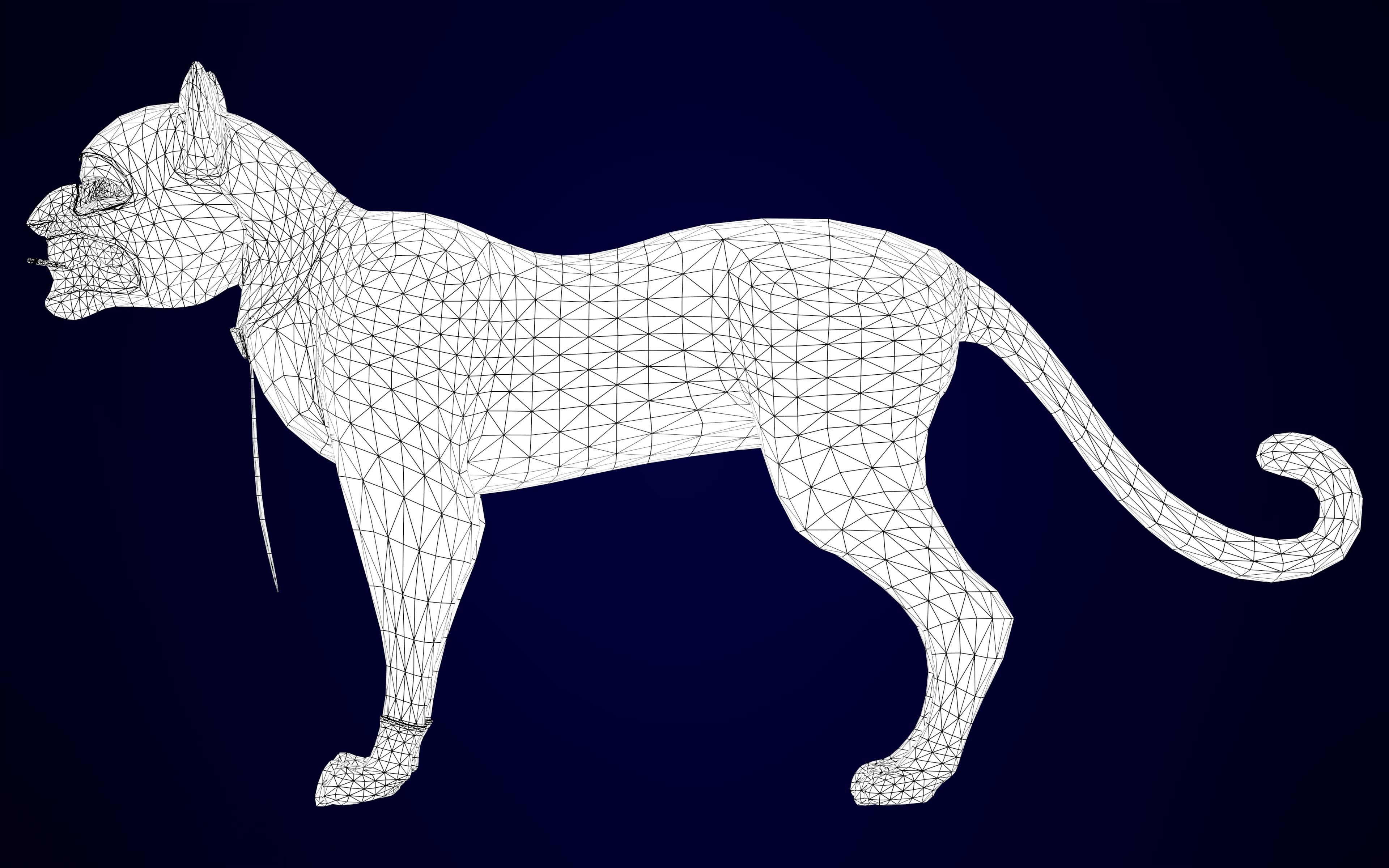 TF2 Spy Cat Low-poly 3D model_12