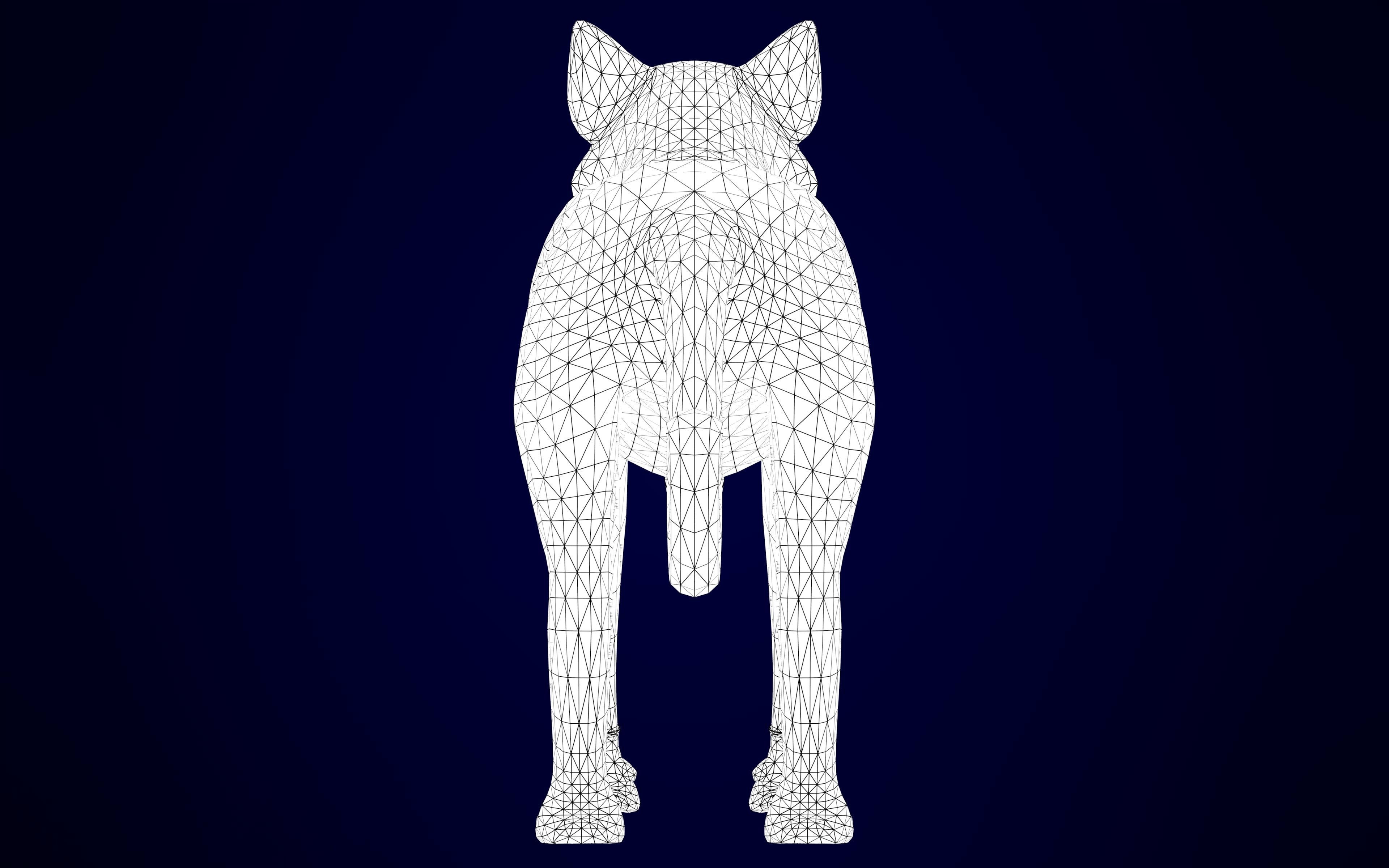 TF2 Spy Cat Low-poly 3D model_13