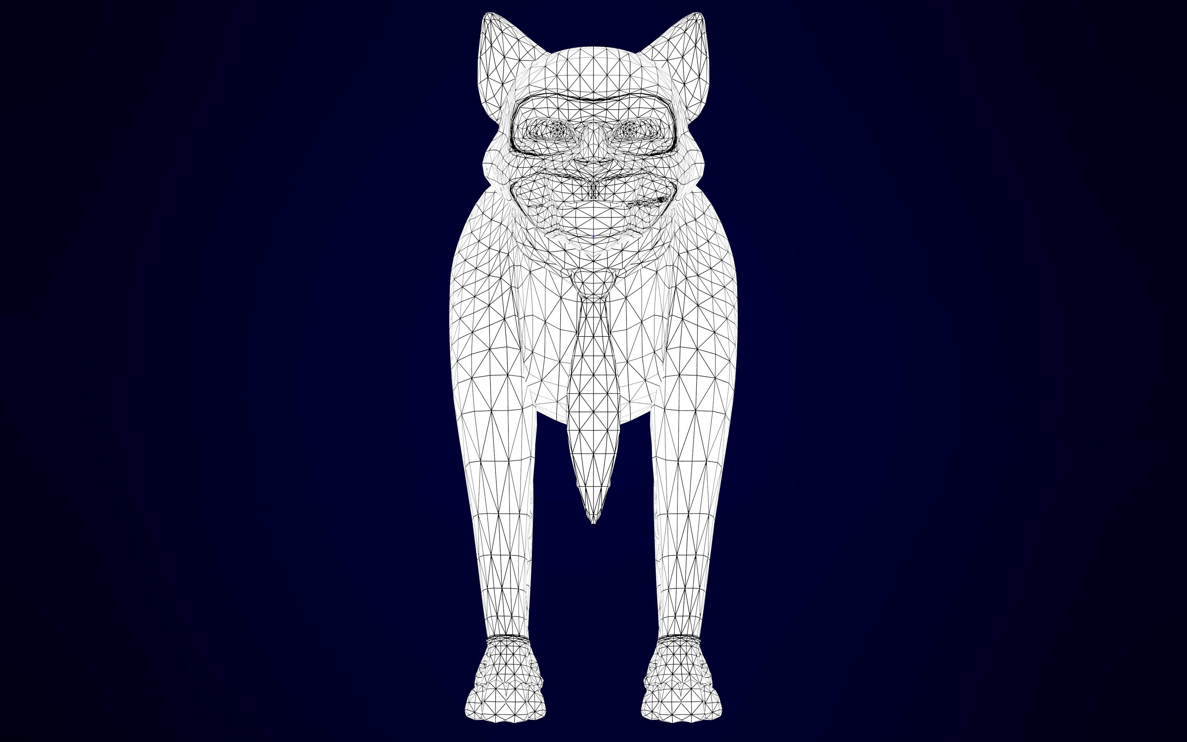 TF2 Spy Cat Low-poly 3D model_11