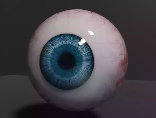  HUMAN EYE 3D model