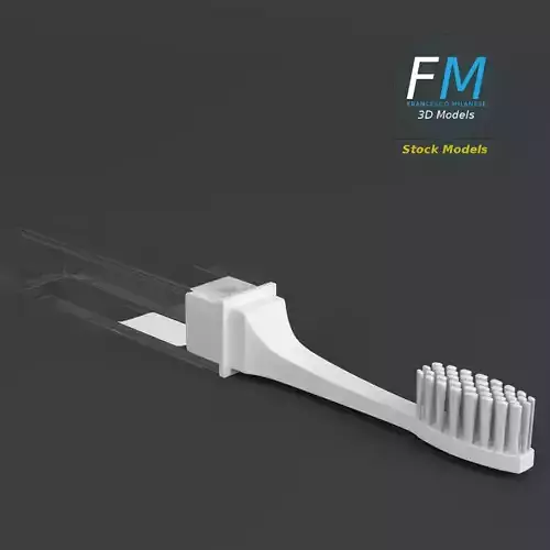 Travel toothbrush
