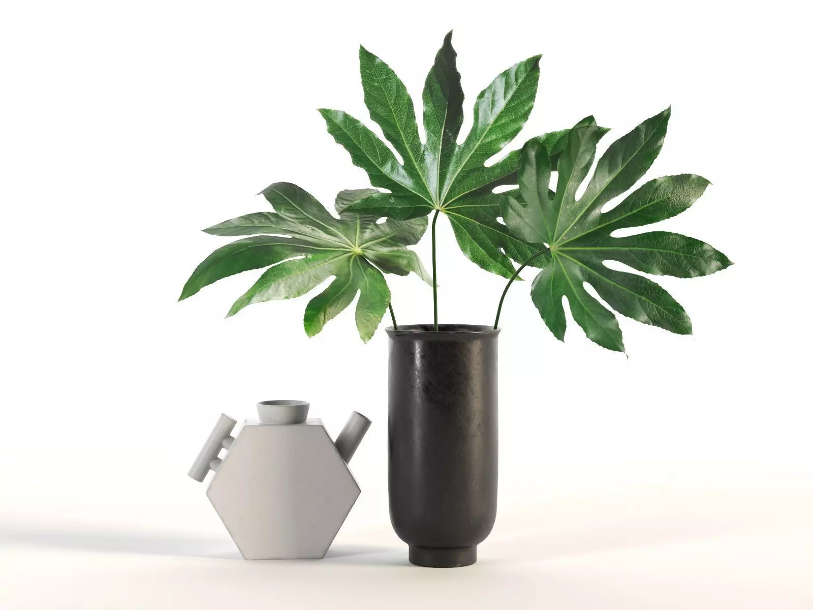 Aralia and Vases 3D model_0