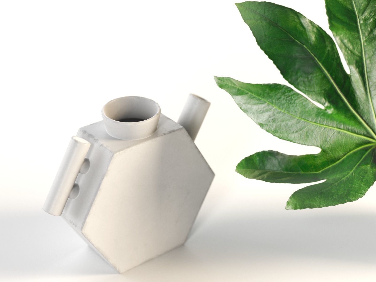 Aralia and Vases 3D model_2