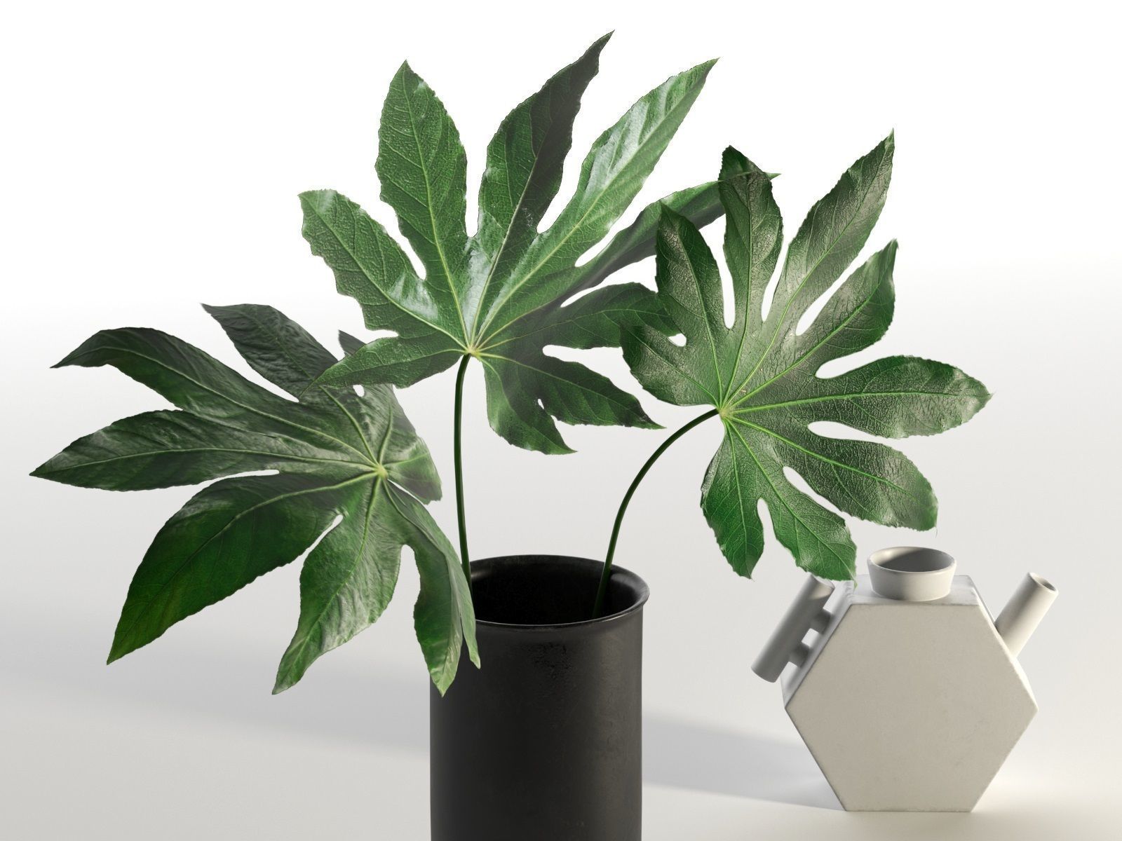 Aralia and Vases 3D model_1