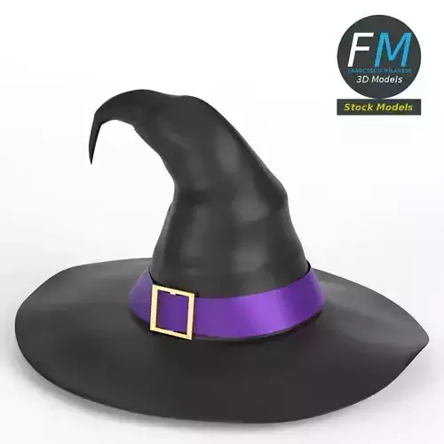 Witch hat 3D model
