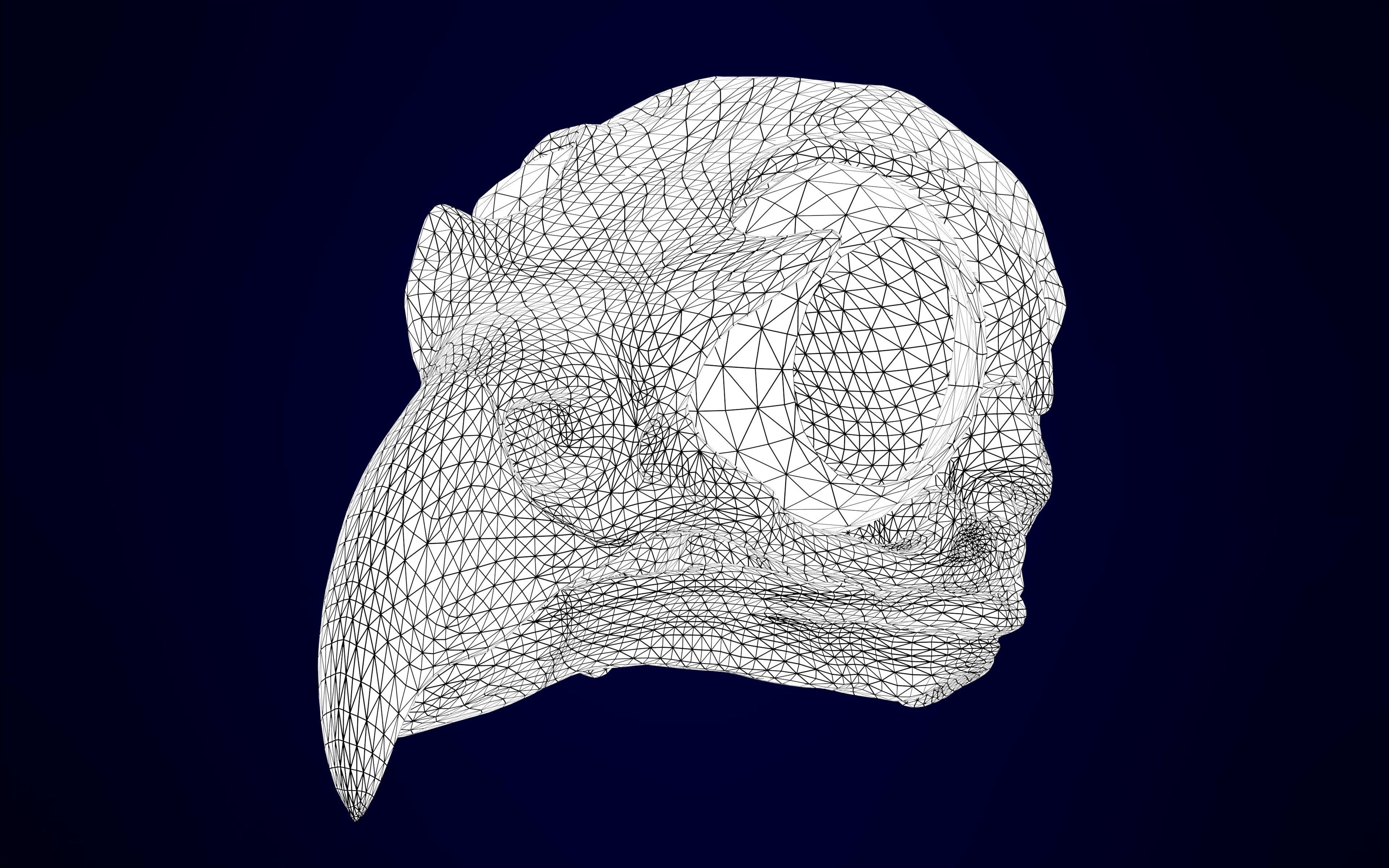 Eagle Skulls 3D model_18