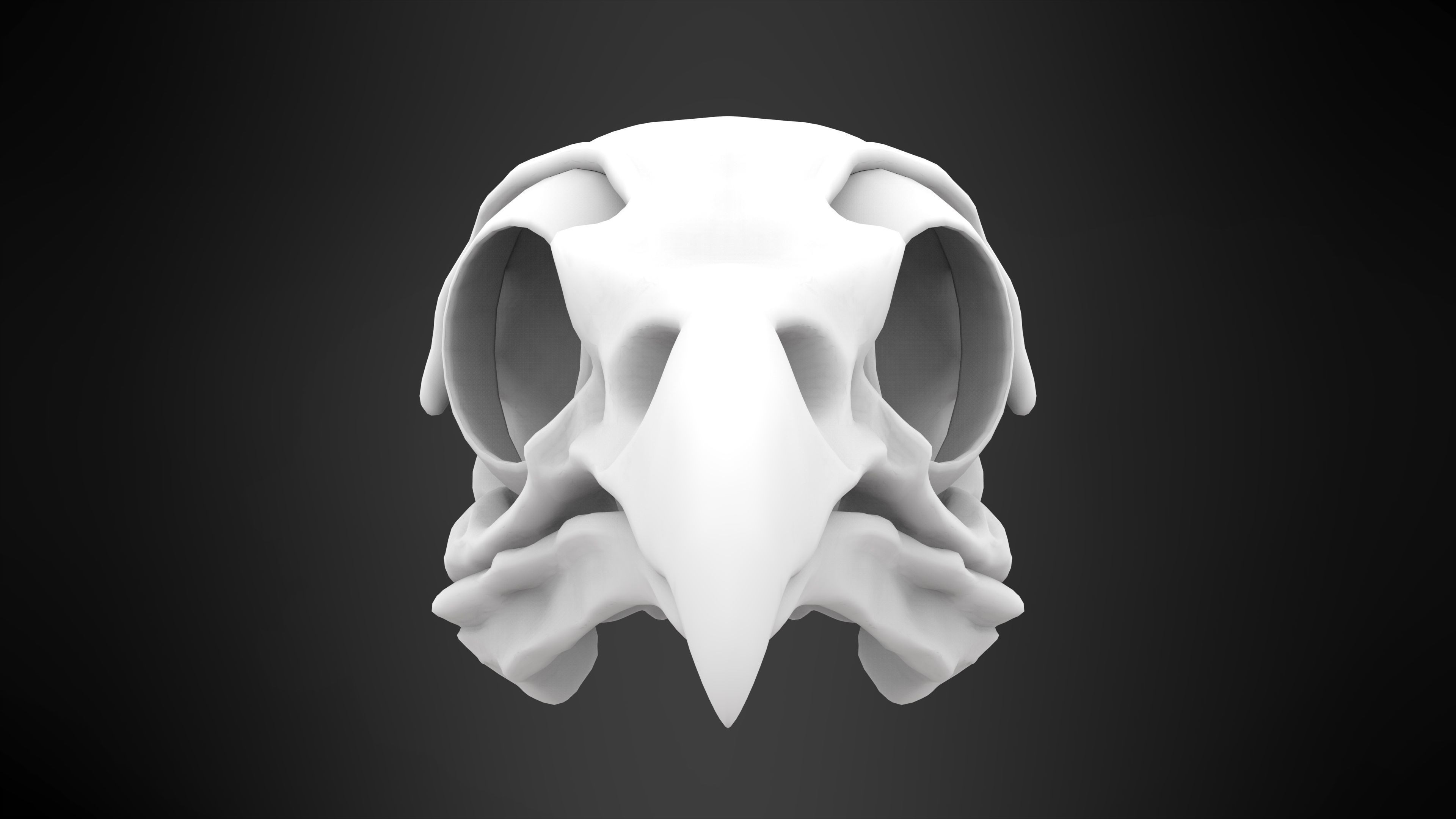 Eagle Skulls 3D model_14