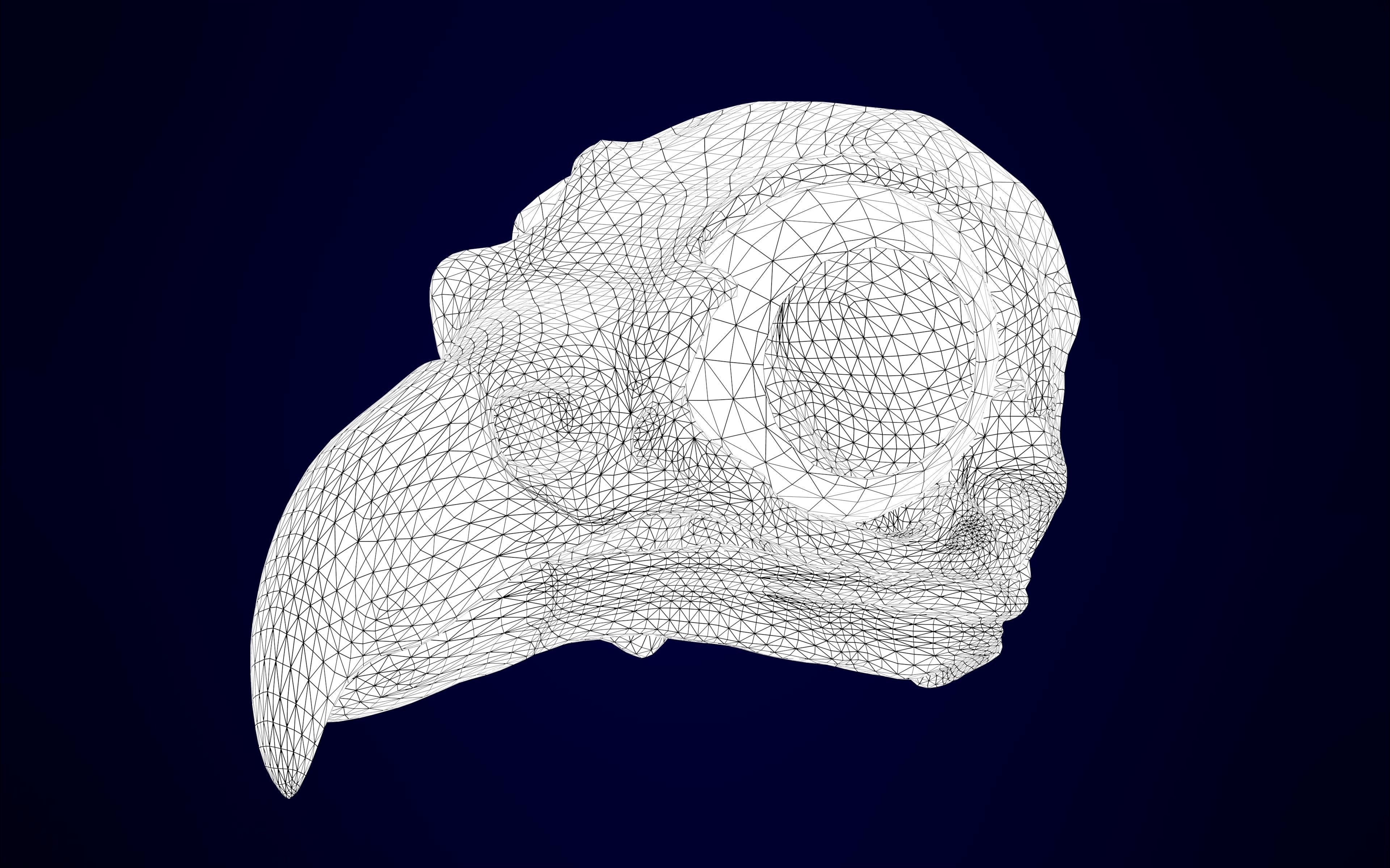 Eagle Skulls 3D model_19