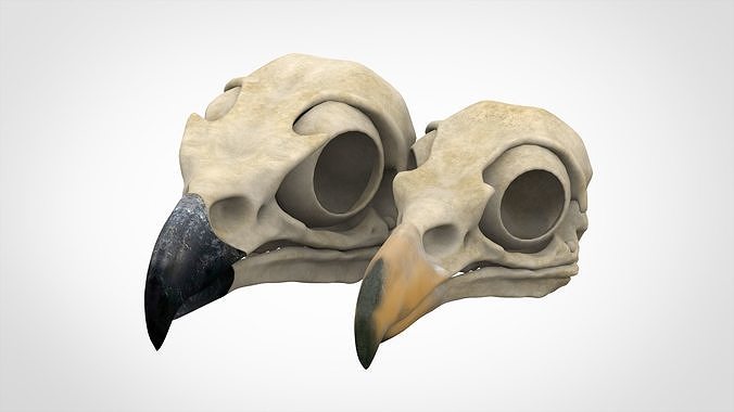 Eagle Skulls 3D model