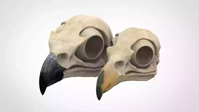 Eagle Skulls 3D model